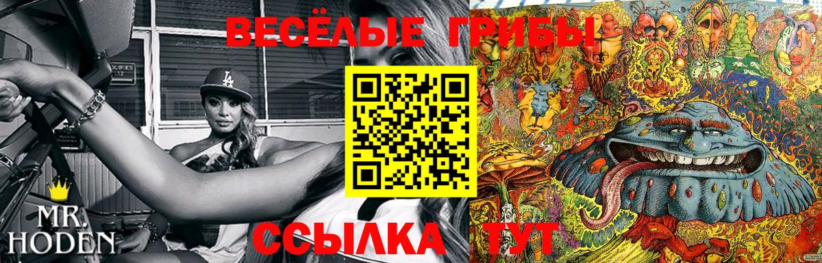 Псилоцибиновые грибы Cubensis  Псилоцибиновые грибы прущие грибы  Советск  Вход с VPN 